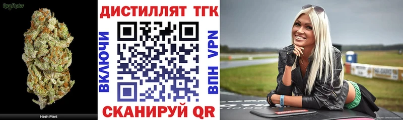 mega маркетплейс  Эртиль  Дистиллят ТГК концентрат  купить  